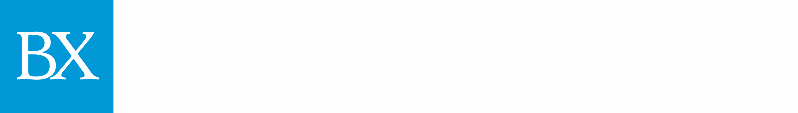 BX Industrial Door Service logo