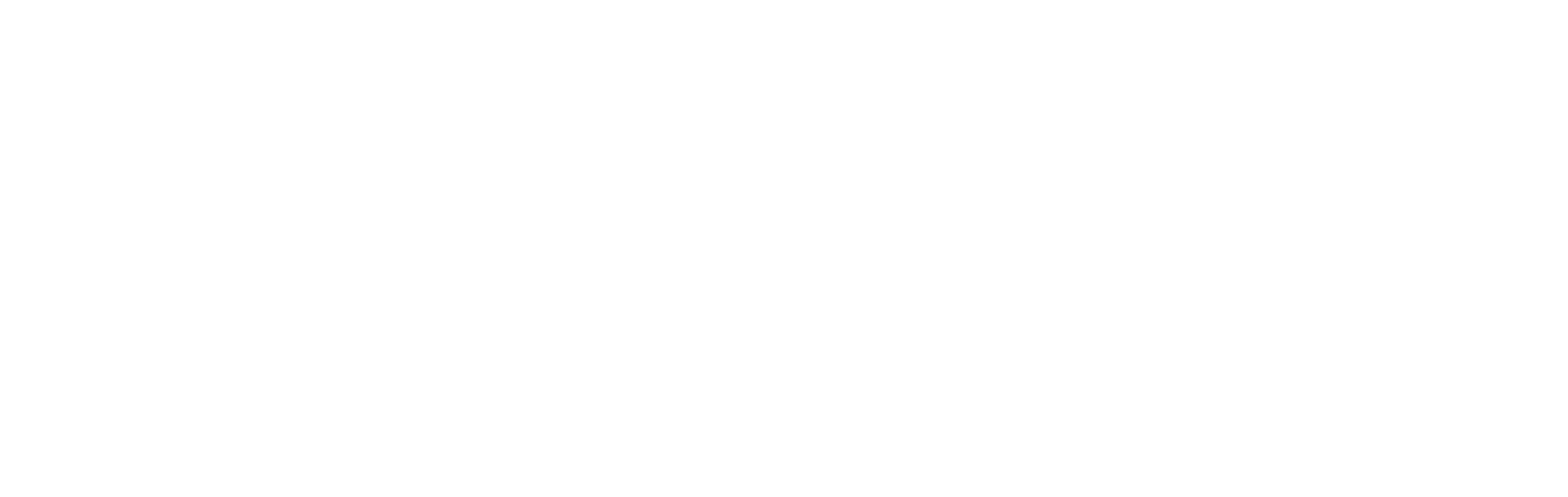 Doorworks logo