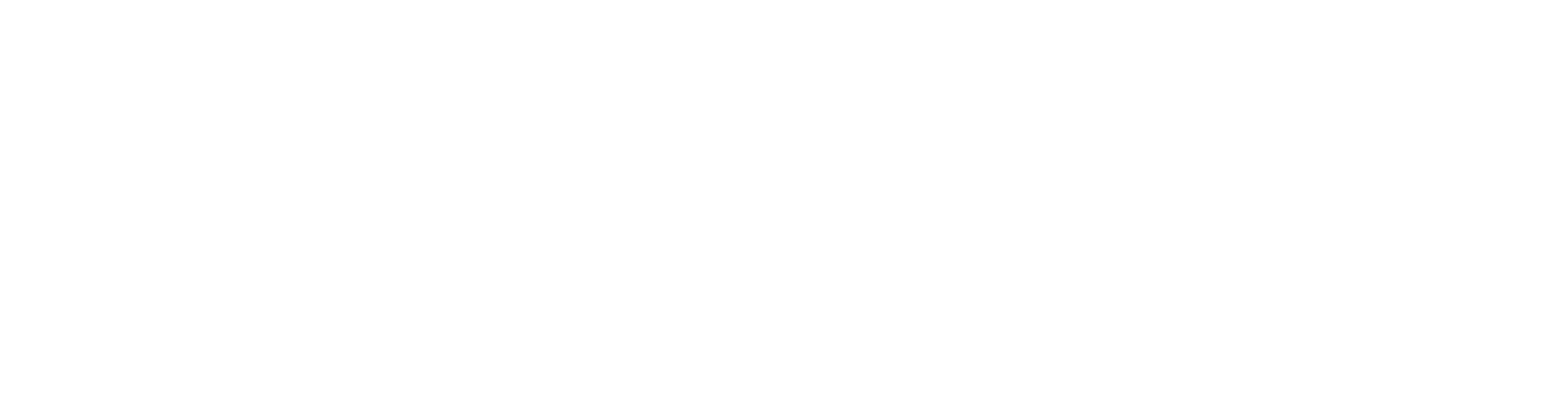 Dynamic Door Service logo